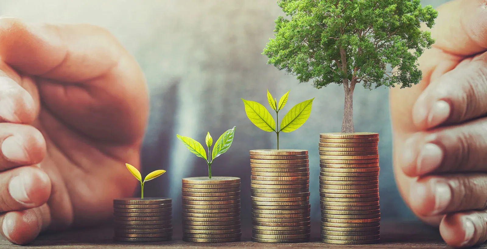 Ali alighanim kscc hero 03